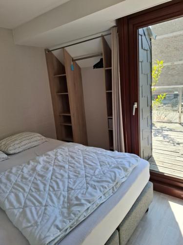 Bord de lac - 4/6pers SAUNA - terrasse 20m2