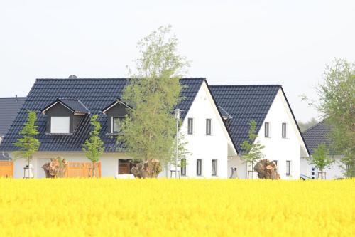 FH Luv in Nienhagen, Deutschland