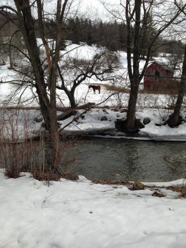Green River Inn Sandgate (VT)