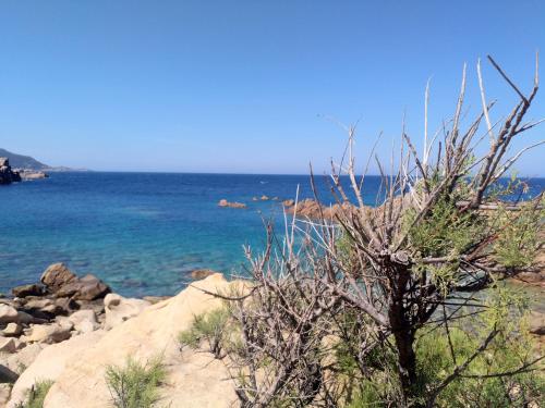 Wild Paradise Wild Paradise