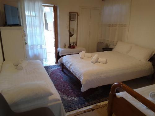 Dimitra's traditional house in Agnanta