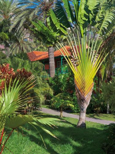 Hacienda San Jorge - image 6