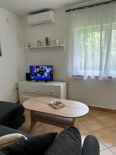 Apartment Zlatko - image 4