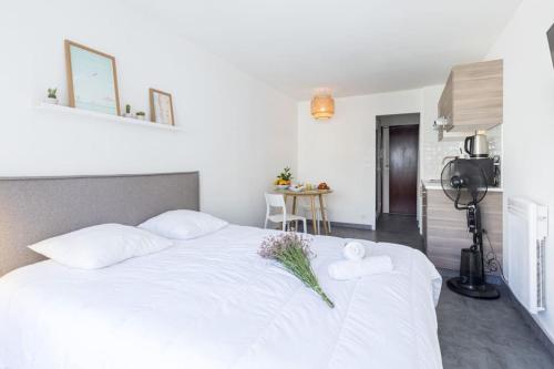 GROSSO 4 - Studio with Balcony - Near the Sea, Nice (fotografie 9)