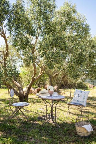 Villa Orgoi, confort e relax