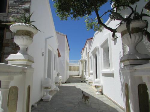  Castellino Studios, Pension in Faliraki bei Rhodos