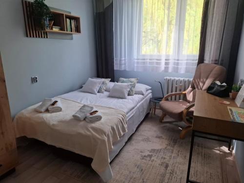 Apartament u Zegarmistrza z garazem - Torun