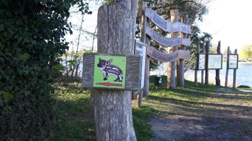 Ferienhaus Claire am Klostersee, Urlaub mit Hund