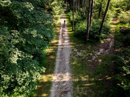 Hotel Scoiattolo - image 2