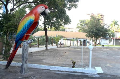 CTC Araras, com piscina inclusa, Caldas Novas - VPC, Caldas Novas (fotografie 10)