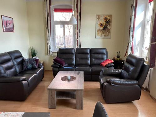 Ambiente-an-der-Elbe-Wohnung-EG, Дрезден (фото 5)