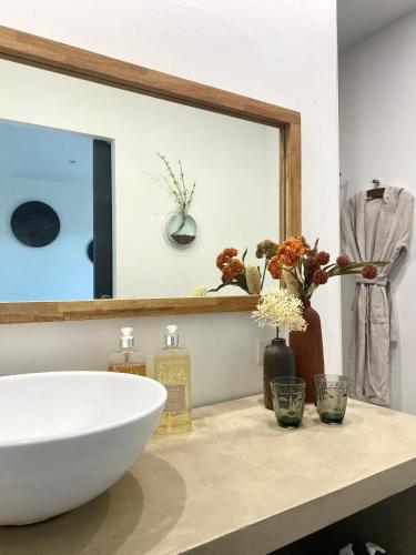 Le Clos de la Chèvre Sud - image 10