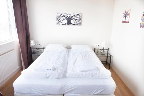Lyngás Guesthouse - image 2