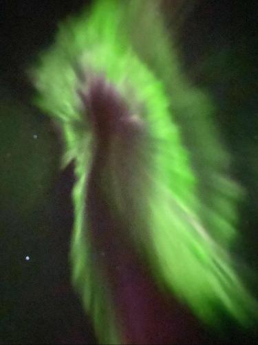 Kvaløya Seaview in Kvaloysletta
