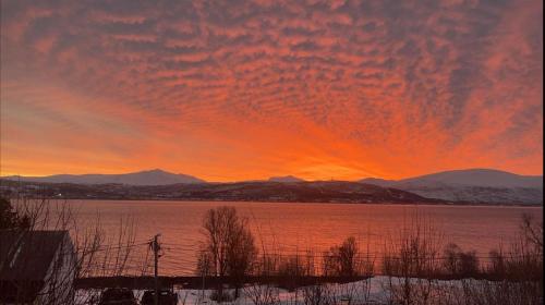 Kvaløya Seaview in Kvaloysletta