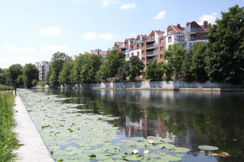 Apartament nad Motławą (Apartament nad Motlawa) in Velho Subúrbio