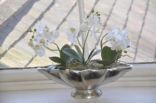 Arden House - image 12