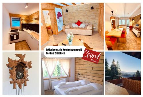 Mitten auf dem Feldberg Panorama Apartment Bergglück in Feldberg Schwarzwald, Deutschland