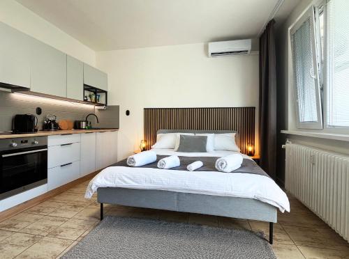 New cozy studio, AC & Balcony, Братислава (фото 2)