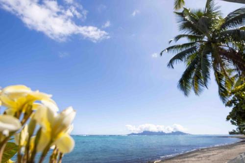 Villa Tiaiti - House Beach Access Sea with Pool in Paea