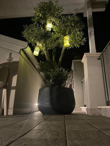 La Casa Di Filò Boutique 4