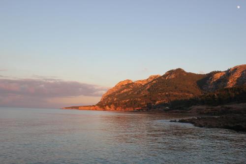Hostal Brisa Marina - image 6