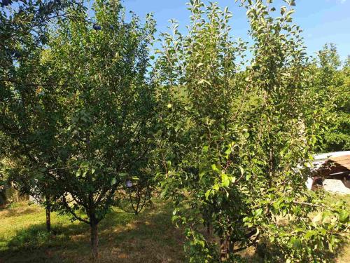 Grand AC Residence with Garden & Parking Grand AC Residence with Garden & Parking