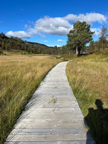 Fjellro på Bortelid - nær turstier og badevann (Fjellro pa Bortelid - nær turstier og badevann) in Tjaldal