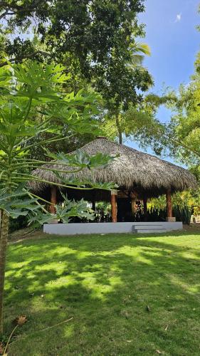 Apkārtne, Hotel Amigo Nicaragua in Los Ranchitos