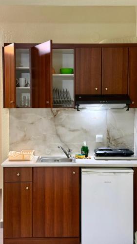 Villa Emmanouela Studios - Family Accommodation in New Vrasna (Thessaloniki)