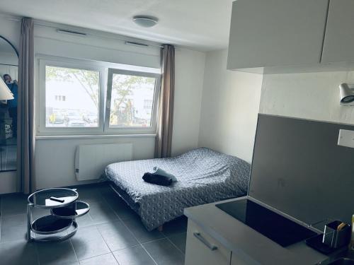 STUDIO tres pratique, Strasbourg (photo 3)