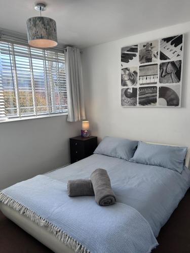 Spacious & peaceful 2Bed with balcony, close to town, Reading (fotografie 5)