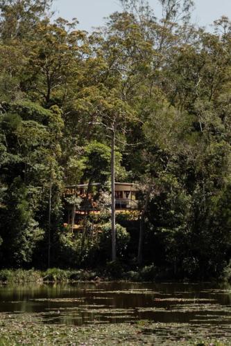Sun Suite - tiny home treehouse in Kuranda