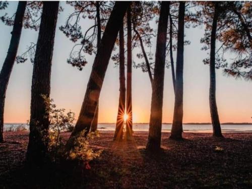 Beautiful apartment near the ocean Beautiful apartment near the ocean