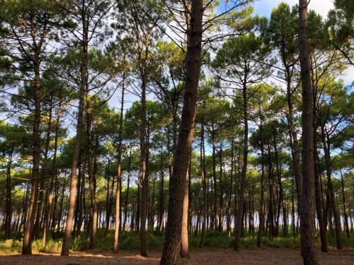 Beautiful apartment near the ocean Beautiful apartment near the ocean