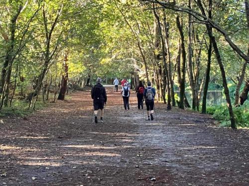 Beautiful apartment near the ocean Beautiful apartment near the ocean