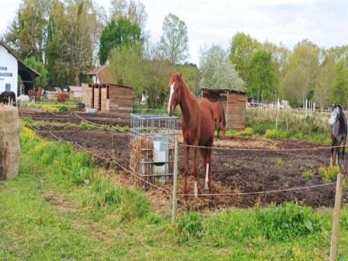 Beautiful apartment near the ocean Beautiful apartment near the ocean