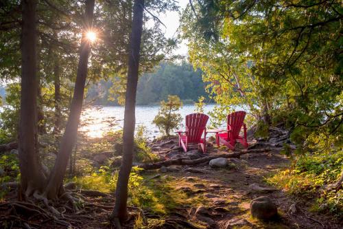Wintergreen 122, Blue Mountains (fotografie 4)