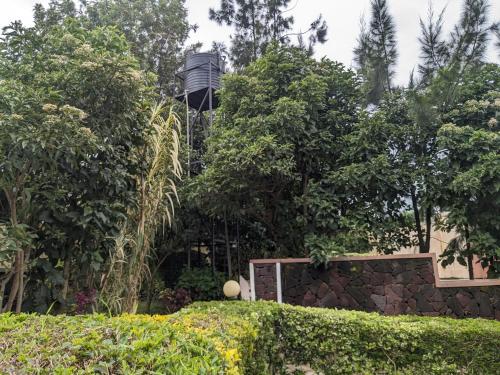 Casa Gorilla Lodge & Campsite in Kisoro