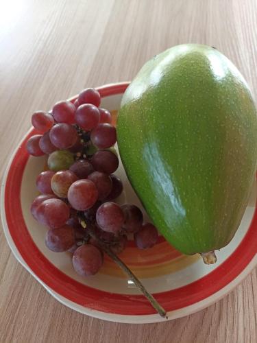 حديقة, Bois Gournable in Corail Petite Butte