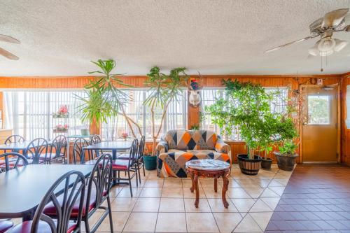 Lone Star Inn by OYO Vernon Texas Hwy 287 - 로비