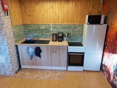 Genieten in het Ertsgebergte vanuit appartement Vos in 大呂克斯瓦爾德