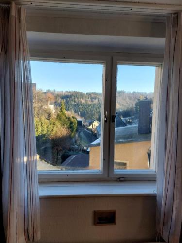 Genieten in het Ertsgebergte vanuit appartement Vos in 大呂克斯瓦爾德