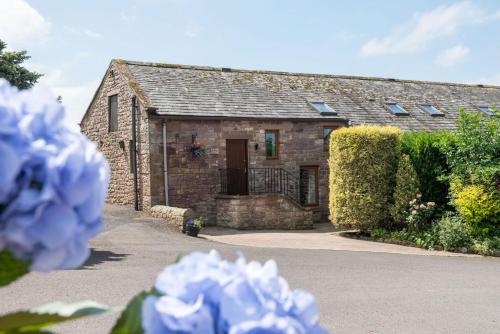 . Low Barn, Castle Carrock a luxury, chacterful cottage with 2 dogs welcome and wood burning stove