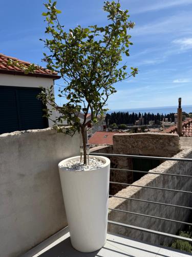 Lemon Tree Dubrovnik Apartments 5
