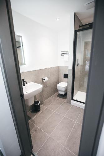 Arena Black Lion - image 14