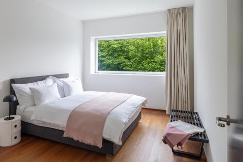 Design Villa in Riehen near Basel-City in Riehen