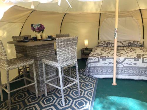 Glamping Getaway on an Impressive Farm near Charlottesville, Virginia in Gordonsville (Virginia)
