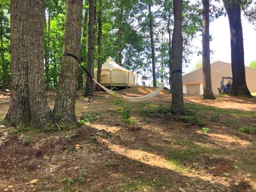 Glamping Getaway on an Impressive Farm near Charlottesville, Virginia in Gordonsville (Virginia)