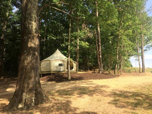 Glamping Getaway on an Impressive Farm near Charlottesville, Virginia in Gordonsville (Virginia)